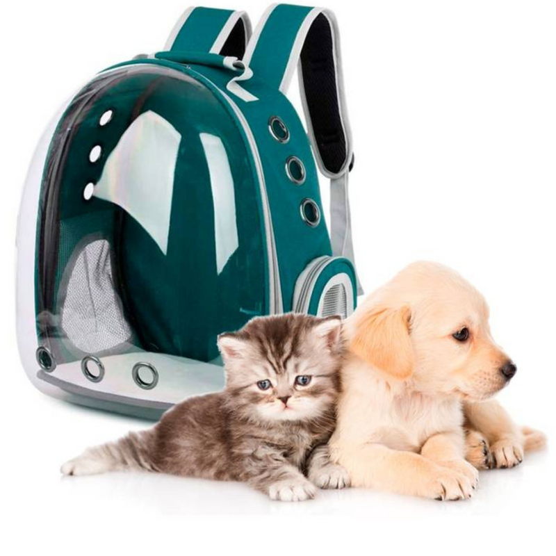 Mochila Pet Transporte